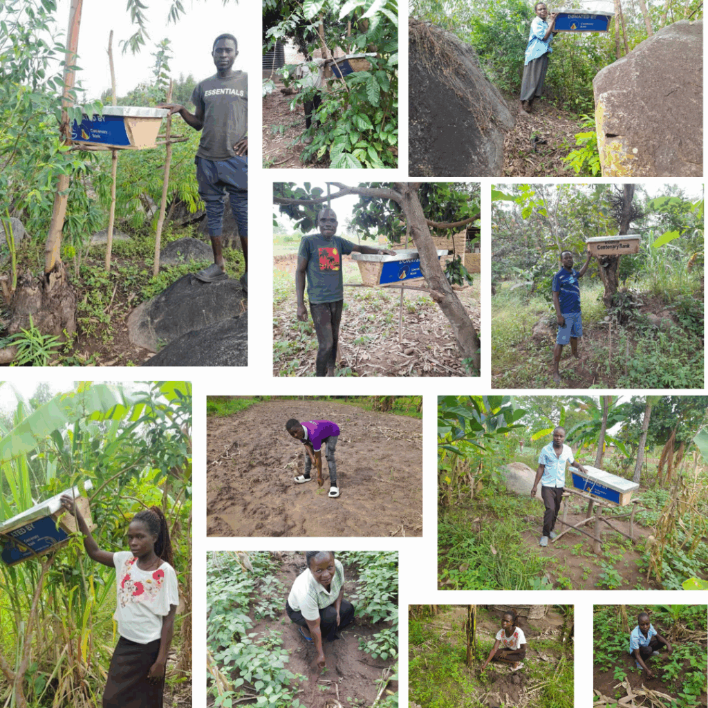 Bees & Trees x Centenary Bank